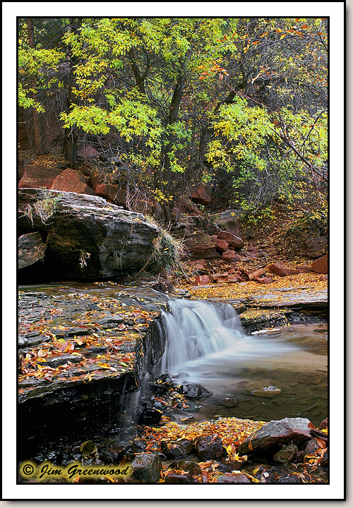 Left Fork of North Creek