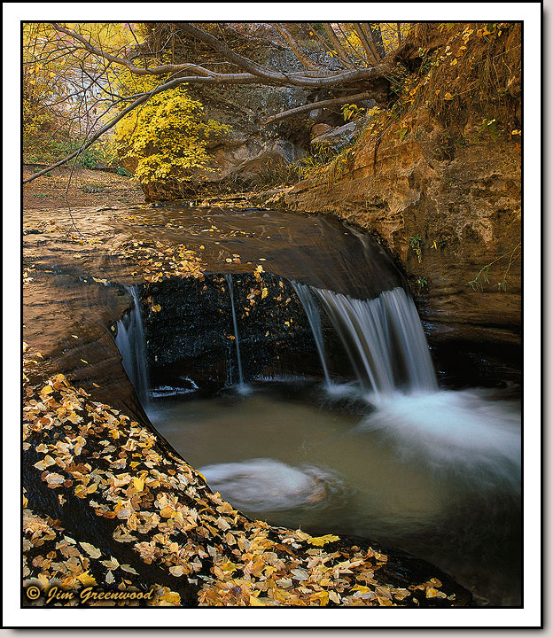Left Fork of North Creek