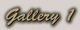 Gallery 1