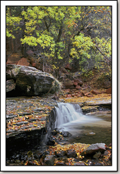 Left Fork of North Creek