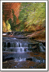 Left Fork of North Creek