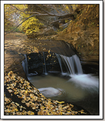 Left Fork of North Creek