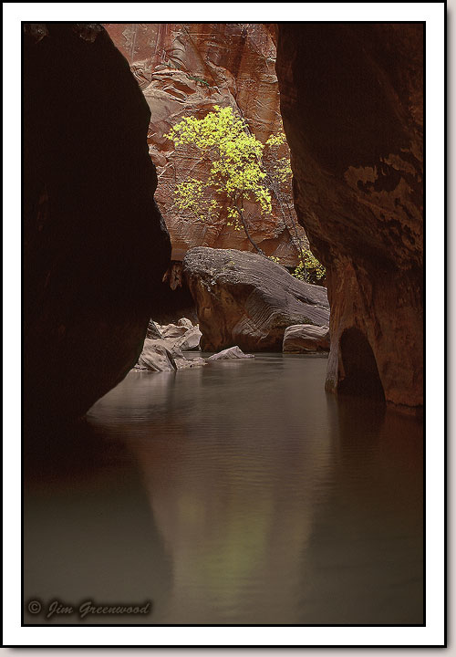 The Narrows