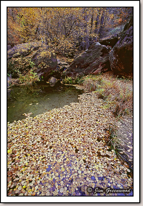 Middle Emerald Pools