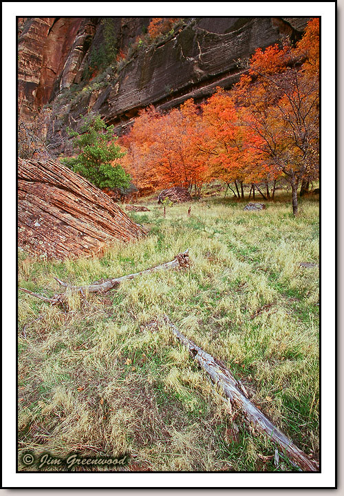 Zion Canyon
