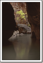 The Narrows