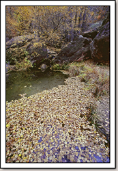 Middle Emerald Pools