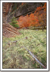 Zion Canyon