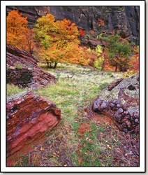Zion Canyon