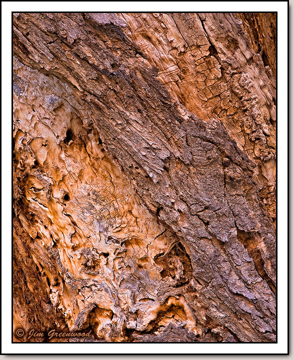 Old Wood - Pine Creek Canyon