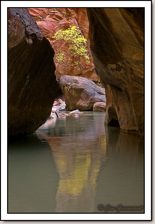 The Narrows