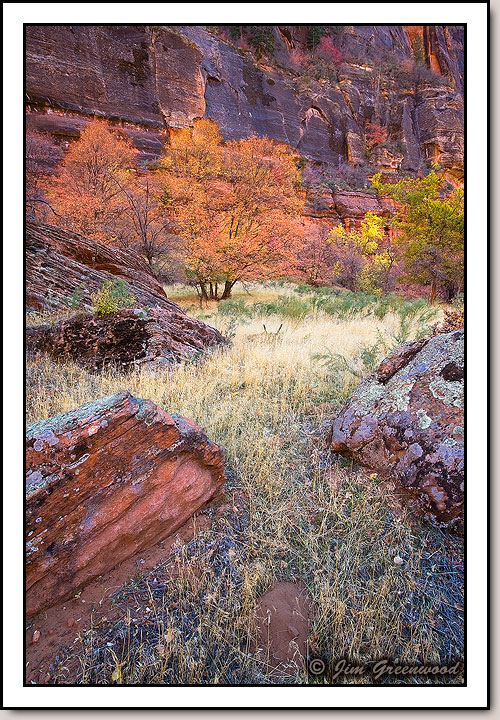 Zion Canyon