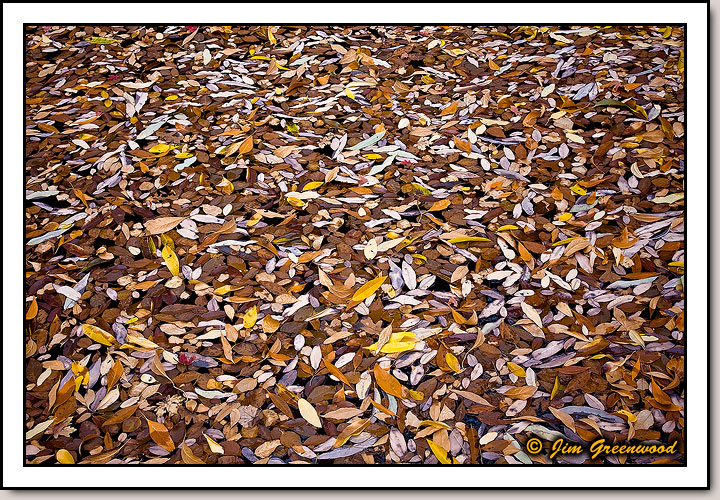 Middle Emerald Pools