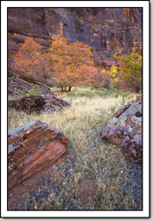 Zion Canyon