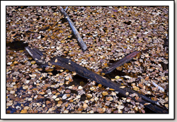 Middle Emerald Pools