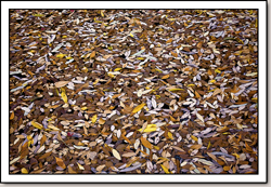 Middle Emerald Pools