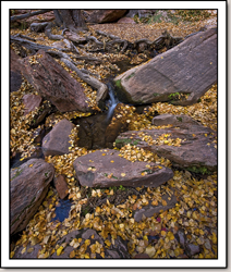 Middle Emerald Pools