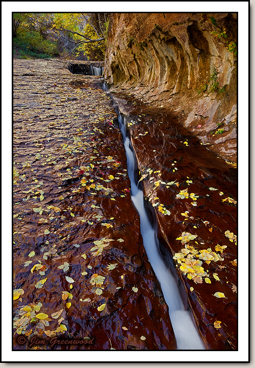 North Creek - Left Fork