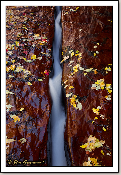 North Creek - Left Fork