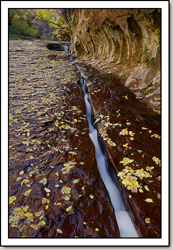 North Creek - Left Fork