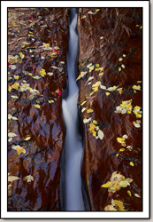 North Creek - Left Fork