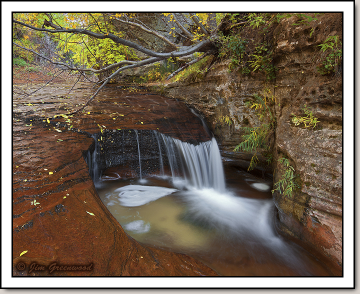 North Creek - Left Fork