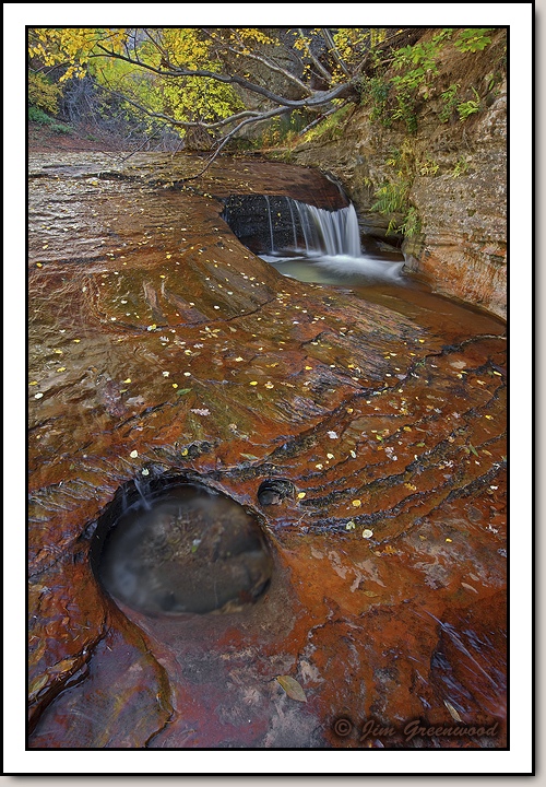 North Creek - Left Fork