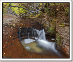 North Creek - Left Fork