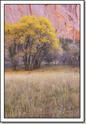 Kolob Canyons