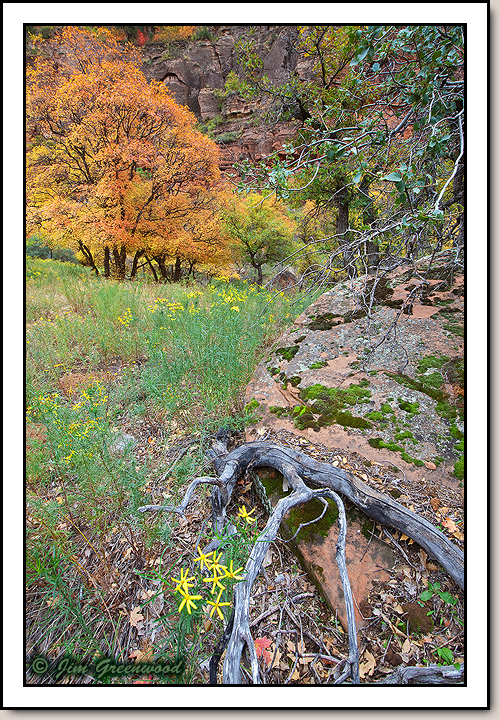 Zion Canyon