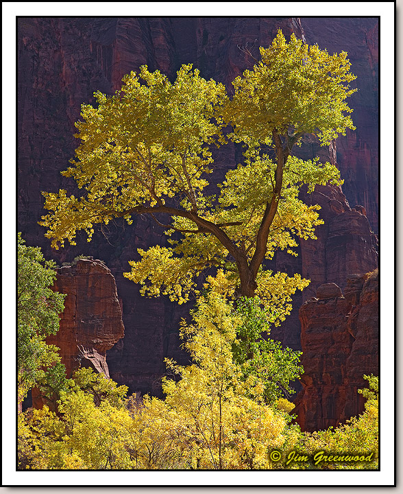Zion Canyon