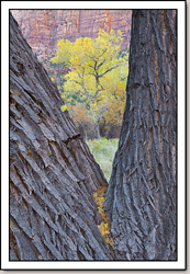 Zion Canyon