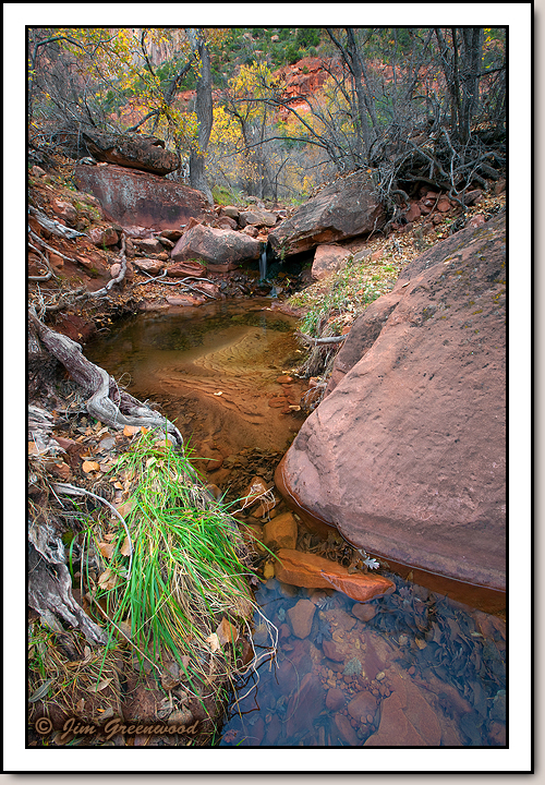 Zion Canyon
