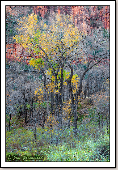 Zion Canyon
