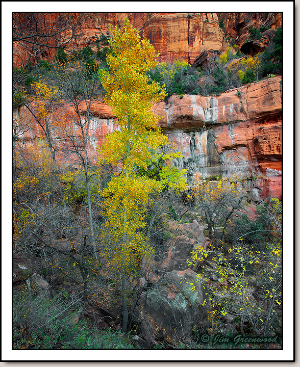 Zion Canyon
