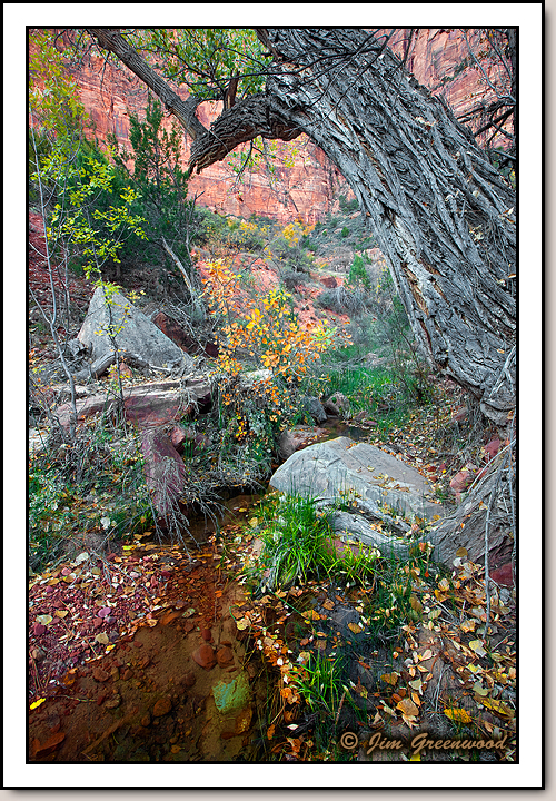 Zion Canyon