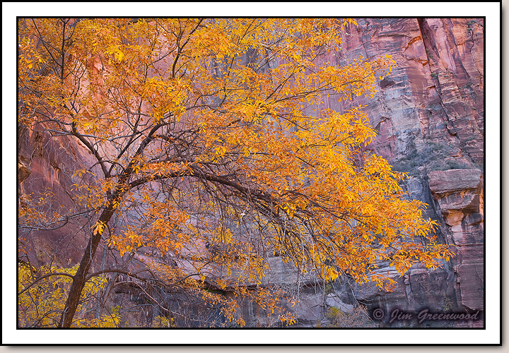 Zion Canyon