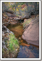 Zion Canyon