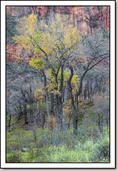 Zion Canyon