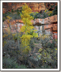 Zion Canyon