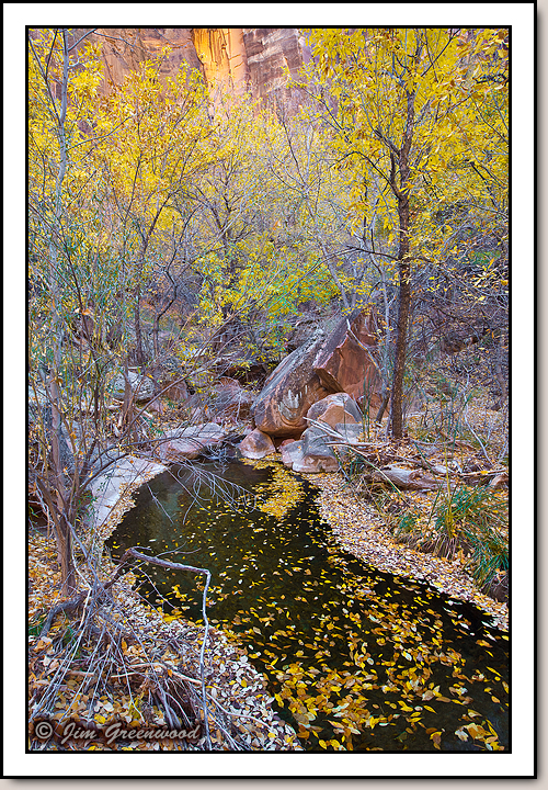 Zion Canyon