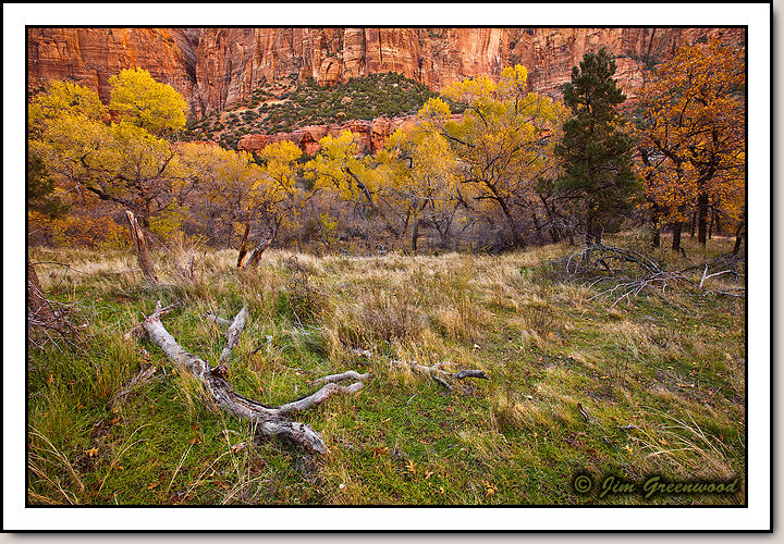 Zion Canyon