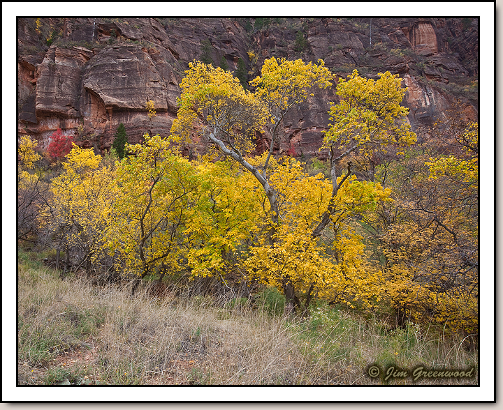 Zion Canyon