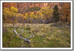 Zion Canyon