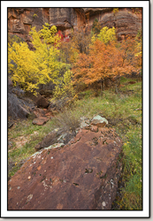 Zion Canyon