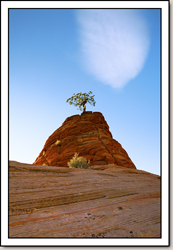 Zion National Park - Gallery 3